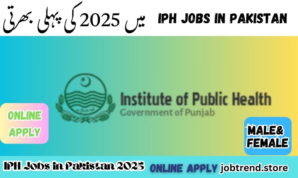 Institute of Public Health (IPH) Jobs in Pakistan 2025