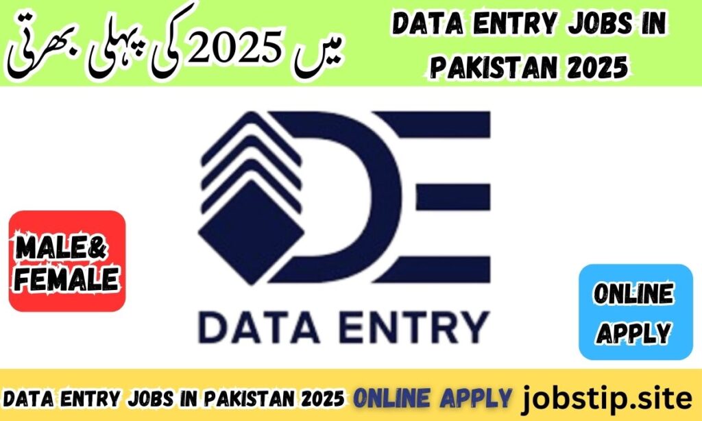 Best Data Entry Jobs in Pakistan 2025