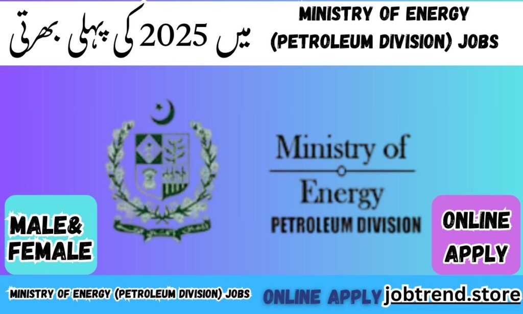 Ministry of Energy (Petroleum Division) Jobs in Pakistan 2025