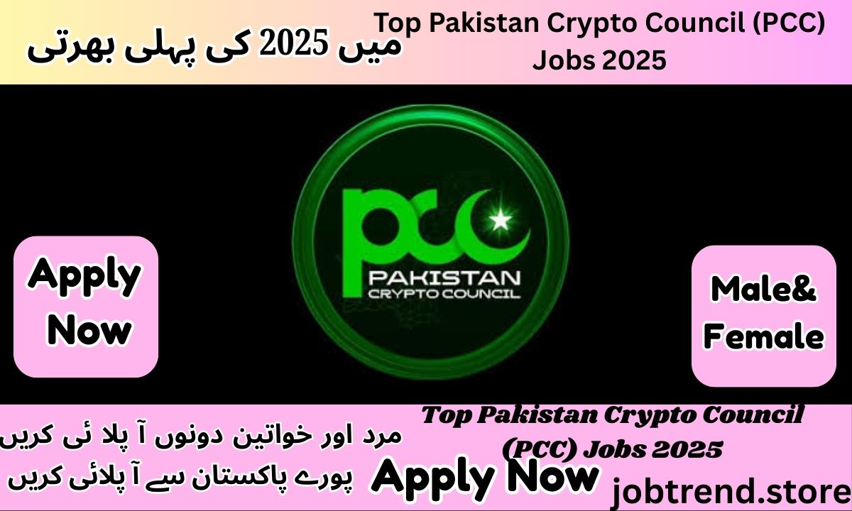 Top Pakistan Crypto Council (PCC) Jobs 2025