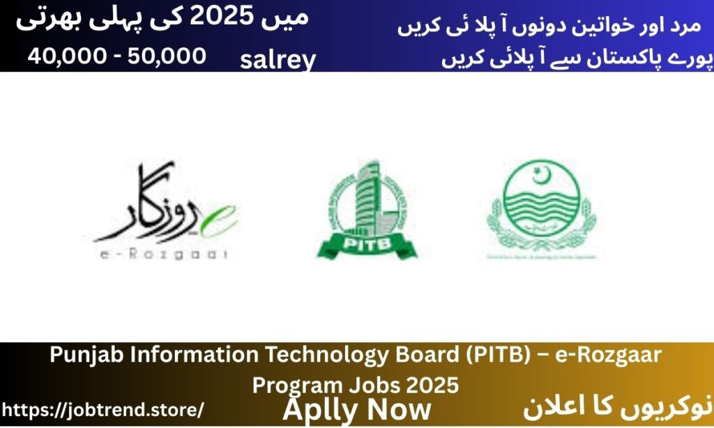 Punjab Information Technology Board (PITB) – e-Rozgaar Program Jobs 2025