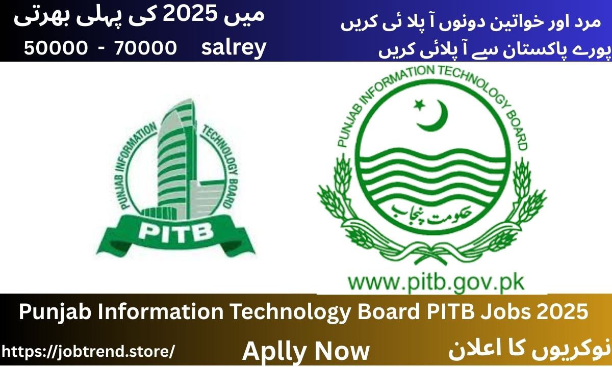 Punjab Information Technology Board PITB Jobs 2025